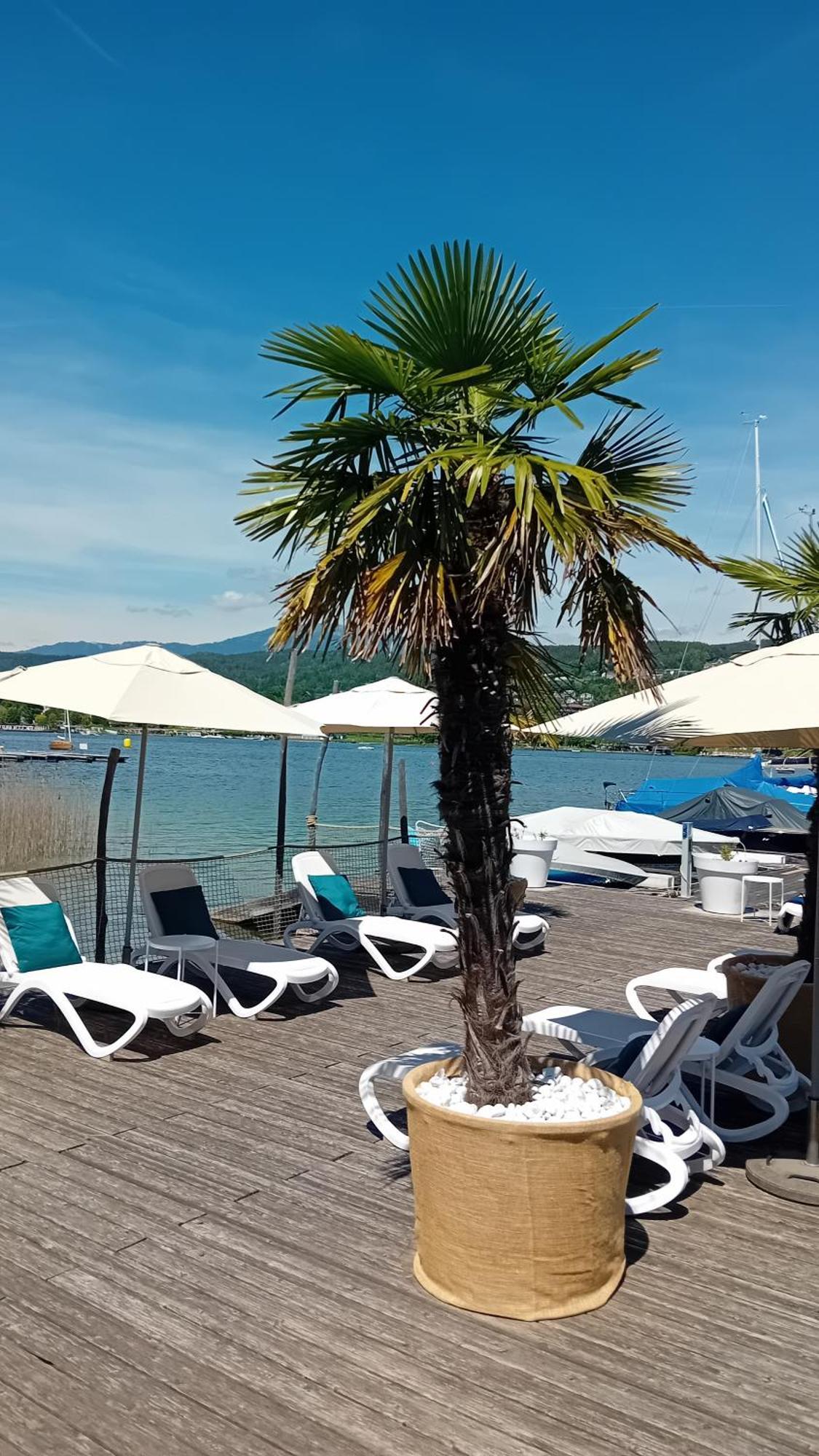 וולדן אם וורתרסי Tennis & Yacht Hotel Velden מראה חיצוני תמונה